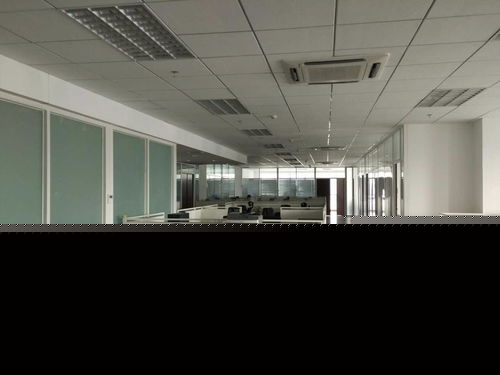 看準(zhǔn)網(wǎng)在軟件開發(fā)領(lǐng)域的應(yīng)用與價(jià)值